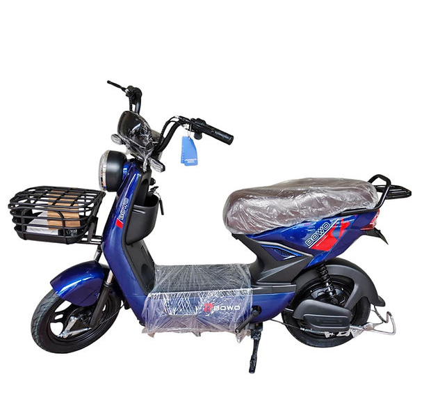 Bowo Electric Bike Malaysia