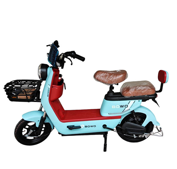 Bowo Electric Bike Malaysia