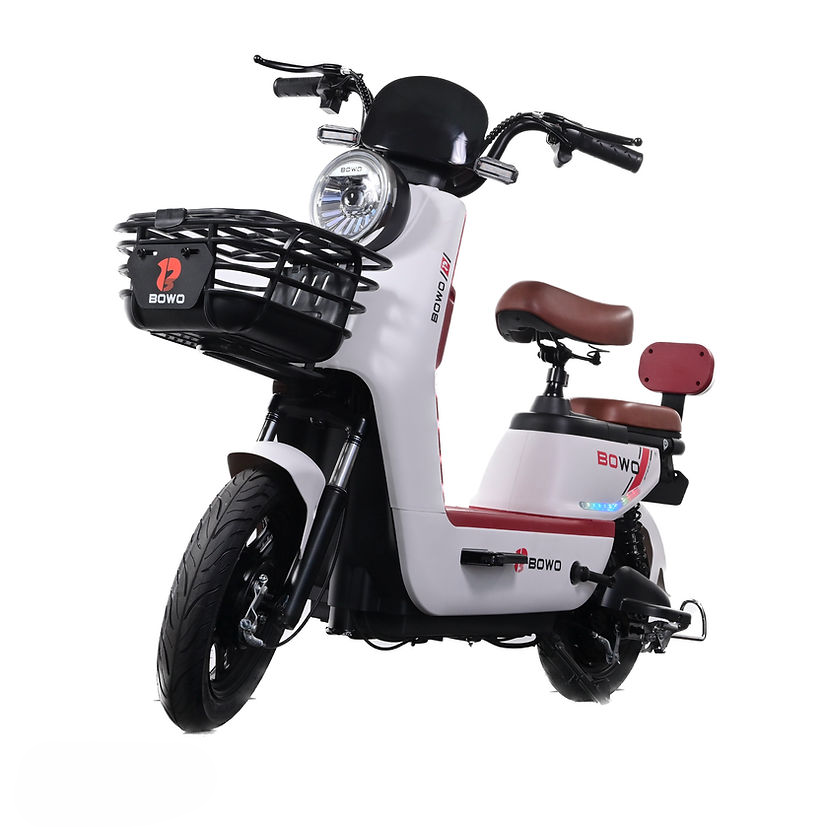 Bowo Electric Bike Malaysia