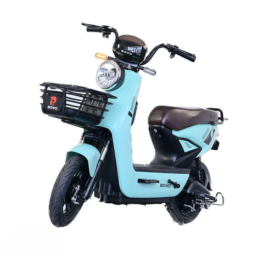 Bowo Electric Bike Malaysia