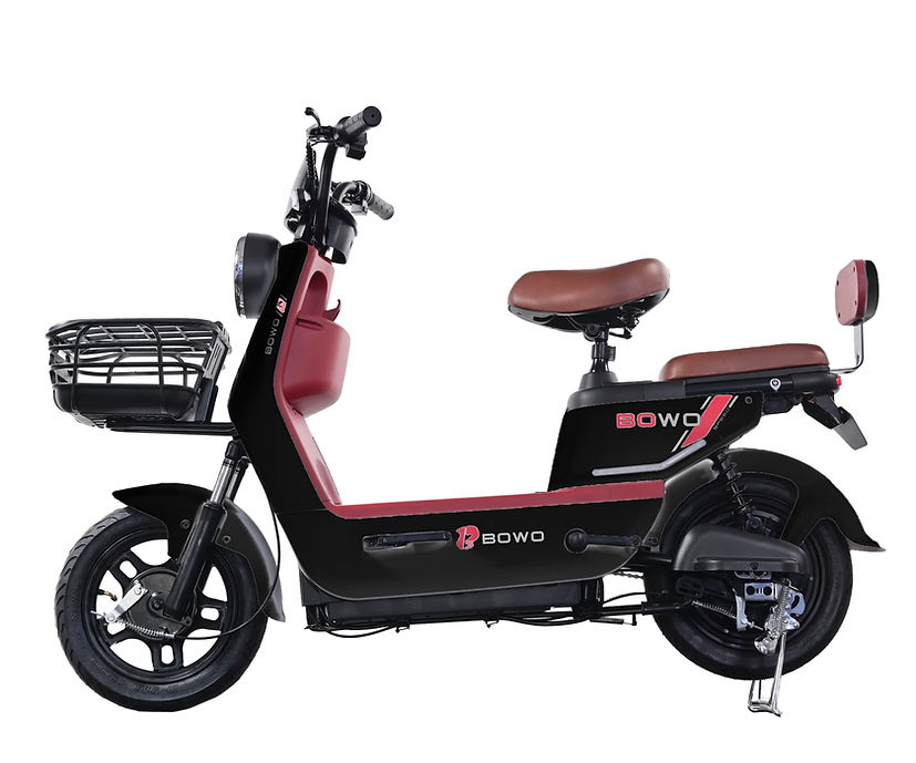 Bowo Electric Bike Malaysia