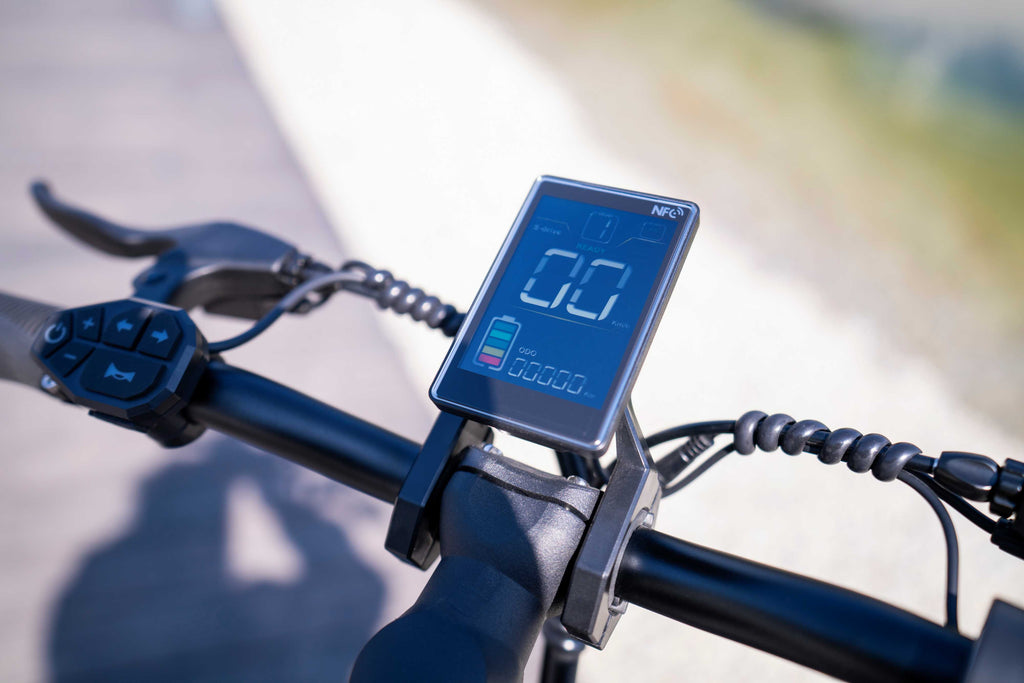 Close-up of a black Joyor C10 foldable removable electric scooter handlebar with a mounted digital display screen showing '00' and battery status, set outdoors on a blurred path.