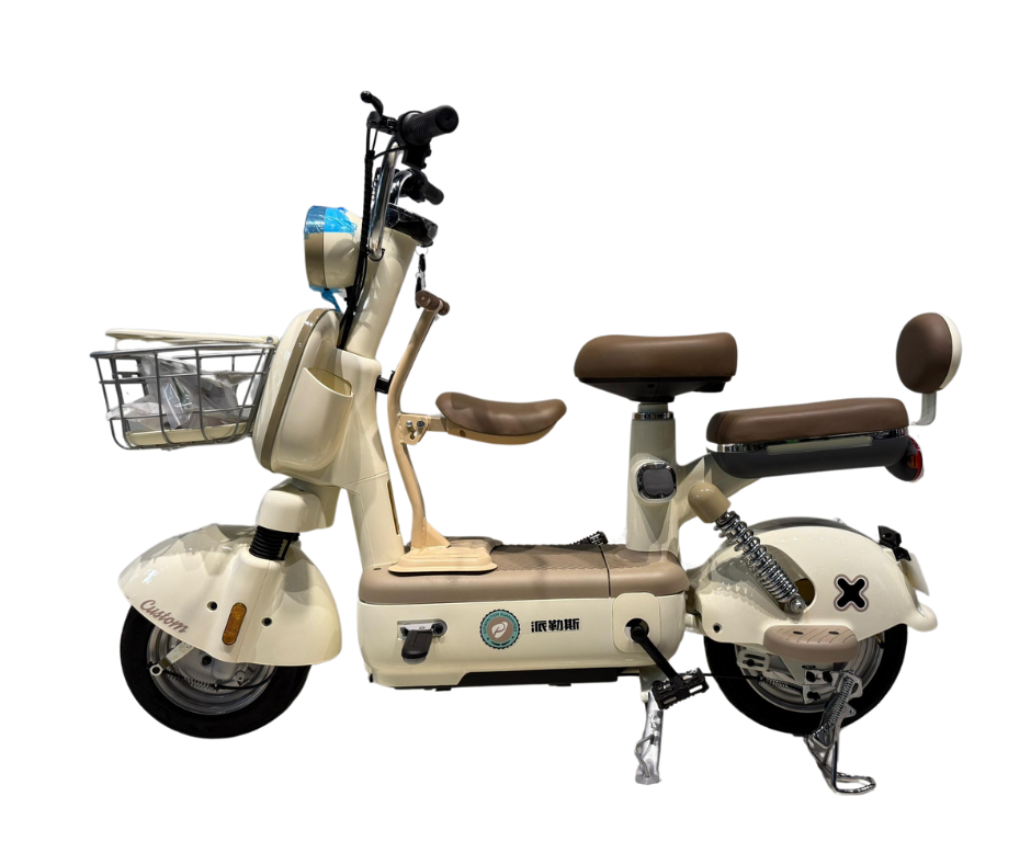 Electric bike malaysia 1