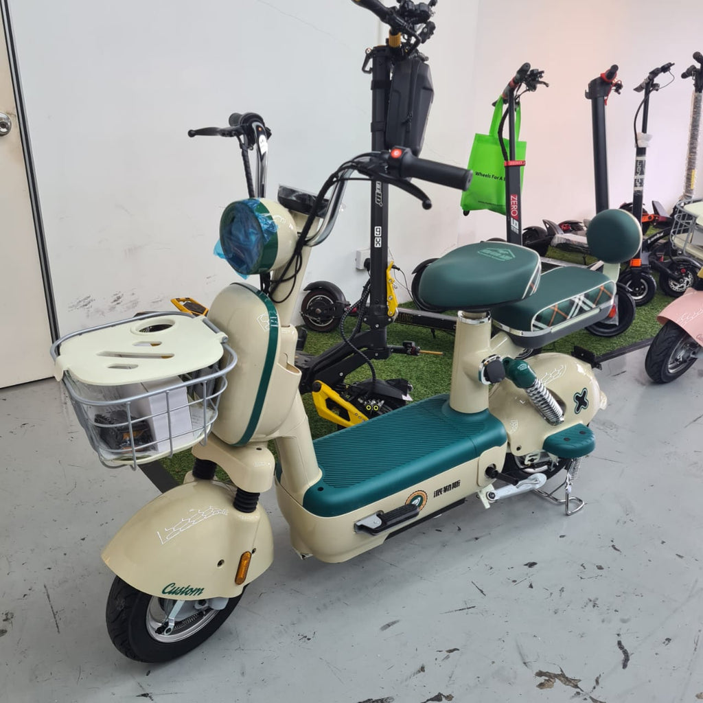 Electric bike malaysia 3